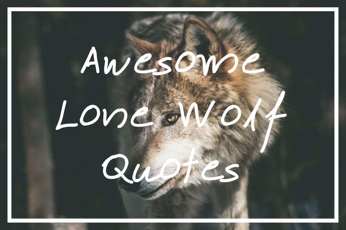 Discovering Inspiring Wolf Quotes