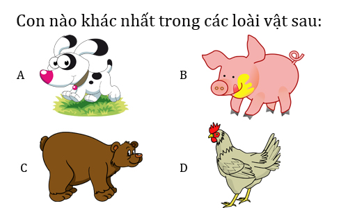 những câu đố xàm-2