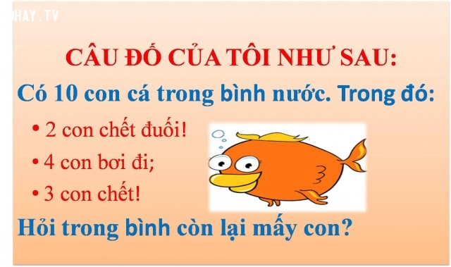 những câu đố vui-6