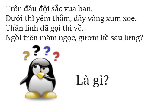 những câu đố có đáp án-5