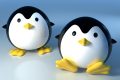 Tổng hợp 100 hình ảnh chim cánh cụt đẹp dễ thương, siêu cute