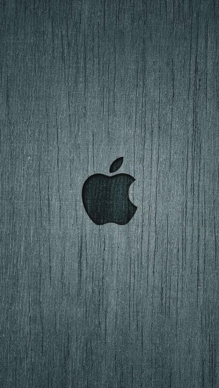 diendanbaclieu 98407 apple logo 01