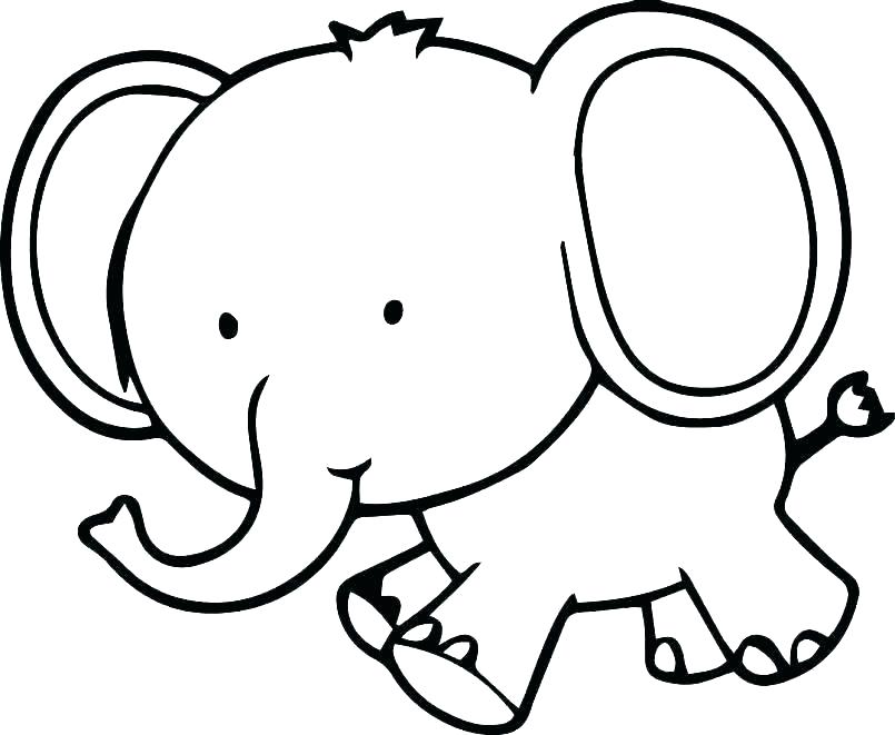 Tong hop cac buc tranh tranh to mau con voi dep nhat 11