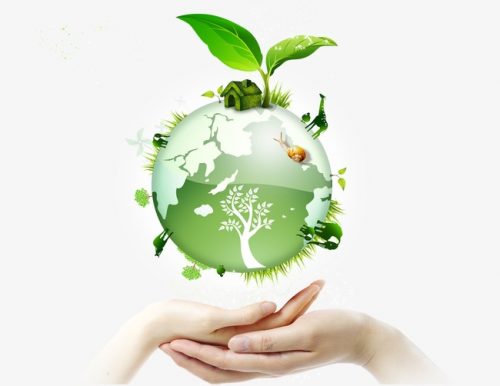 7 việc làm giúp bảo vệ môi trường Đơn giản mà hiệu quả không ngờ BlogAnChoi