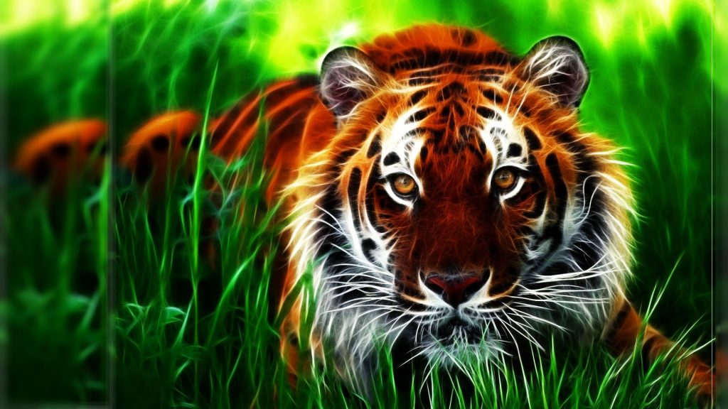 700000 Hình Ảnh Hổ Đẹp Hổ 3D Hổ Con Cute dễ thương nhất