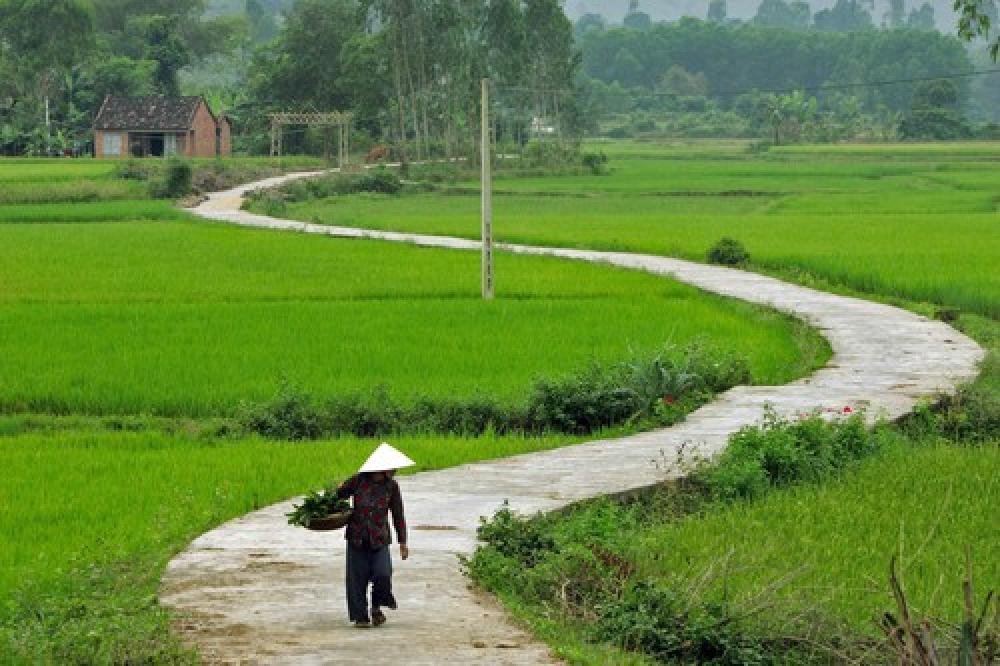 Tổng hợp 100 ảnh nền quê hương Việt Nam đẹp lộng lẫy