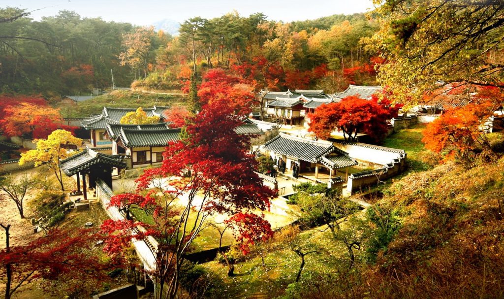 101 hình ảnh phong cảnh Hàn Quốc đẹp, mê hoặc lòng người