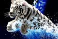 [Cập Nhật] 1001+ hình ảnh con hổ 3D đẹp, vô cùng dũng mãnh