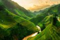 Du lịch xuyên Việt với bộ hình nền phong cảnh Việt Nam Full HD
