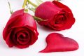 Top 99+ hình ảnh hoa hồng tặng người yêu ngọt ngào, lãng mạn nhất