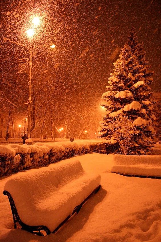 Tổng hợp những hình ảnh mùa đông đẹp nhất Thủ Thuật Phần Mềm