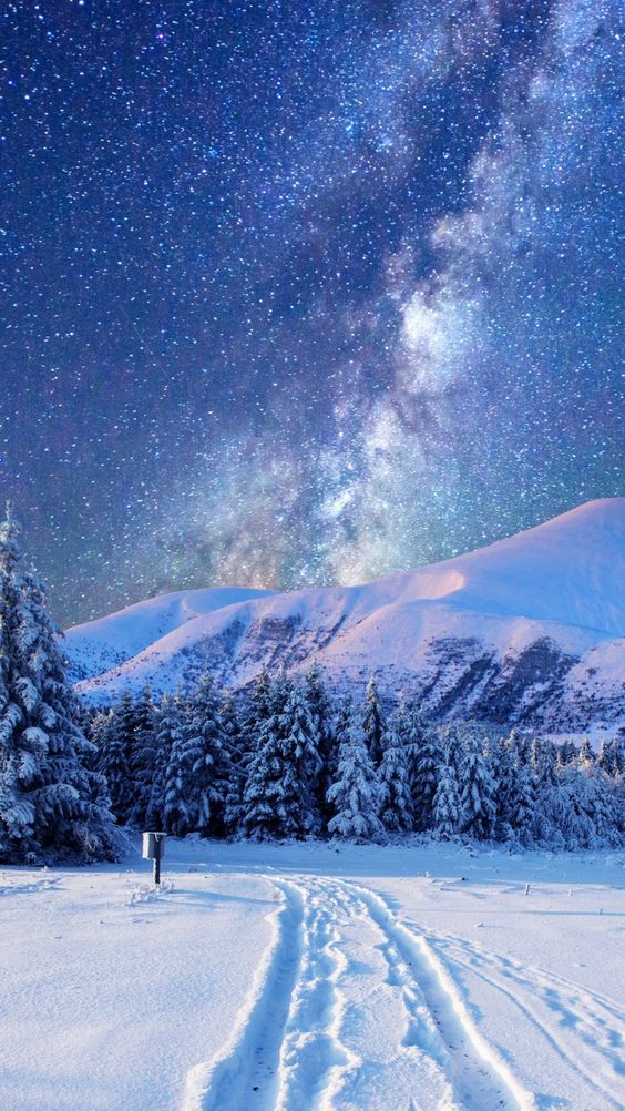 NGẮM] 199+ hình ảnh mùa đông tuyết rơi đẹp nhất trên thế giới