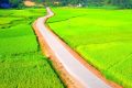 [List] những hình ảnh về nông thôn Việt Nam đẹp không tì vết