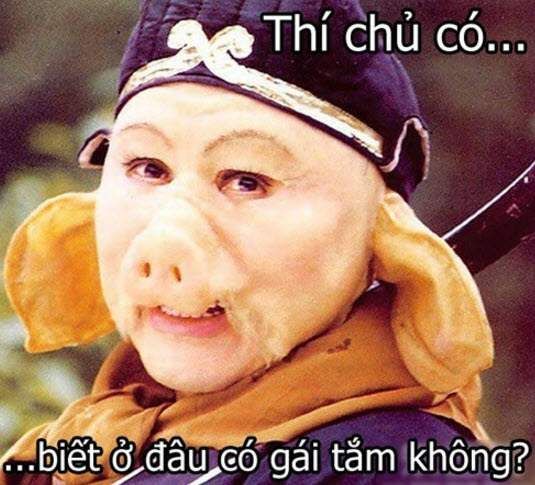 Top 100 Hình ảnh hài hước về tình yêu độc đáo Chỉ Có Tại Việt Nam THCS Võ Thị Sáu