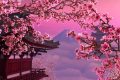 [Sưu Tầm] 100+ hình ảnh hoa anh đào Anime đẹp, lãng mạn nhất
