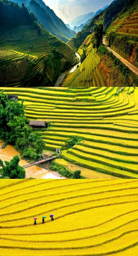 Hình ảnh quê hương Việt Nam đẹp tuyệt vời