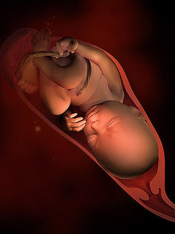 Узи 40 недель. Ребенок в утробе эмбрион.