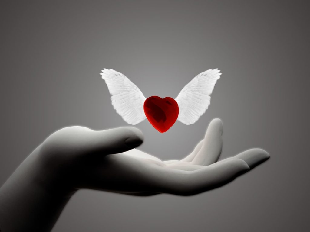 Trong một thế giới đầy căng thẳng, hãy để trái tim yêu thương của chúng tôi giúp bạn tìm lại niềm tin vào tình người.