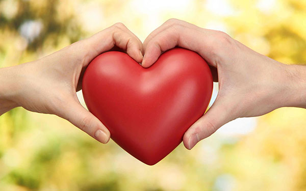 Trái tim yêu thương là trái tim đầy tình cảm và sự ủng hộ. Nó là nơi chúng ta trân trọng và chăm sóc cho những người quan trọng trong cuộc đời. Hãy đón xem hình ảnh liên quan để cảm nhận về sức mạnh của trái tim yêu thương.