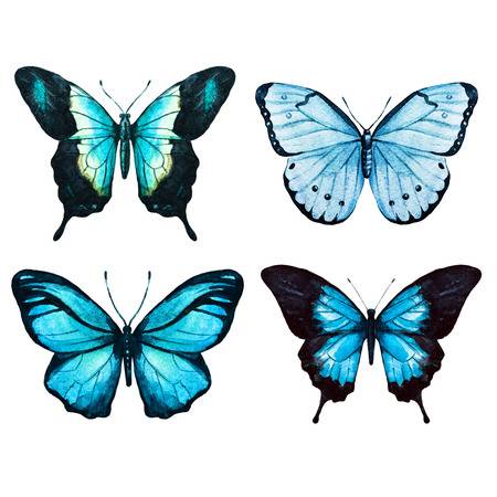 [TOP] 100 hình nền bươm bướm đẹp, đầy sắc màu cho máy tính 10