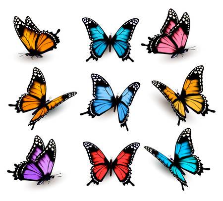 [TOP] 100 hình nền bươm bướm đẹp, đầy sắc màu cho máy tính 11