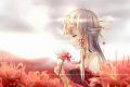 101+Hình ảnh hoa Bỉ Ngạn Anime đẹp,chân thực đến không ngờ
