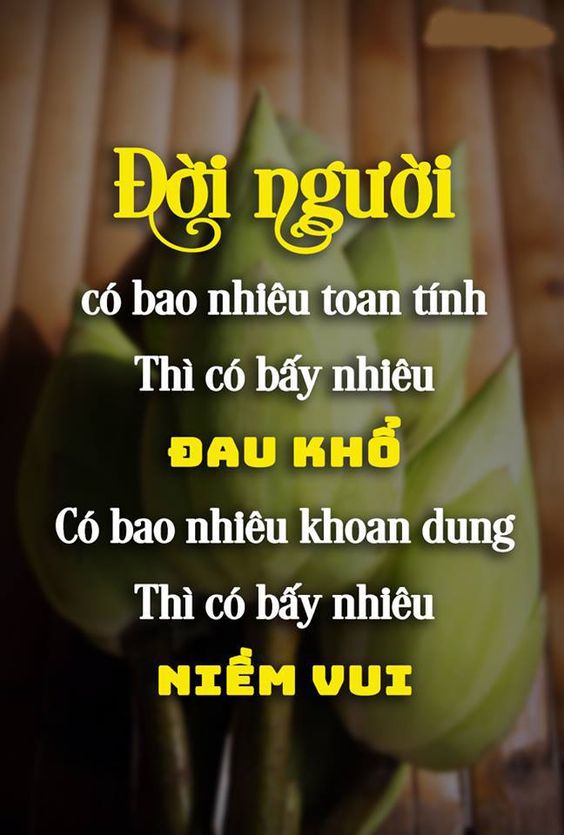 hinh anh y nghia ve cuoc song5