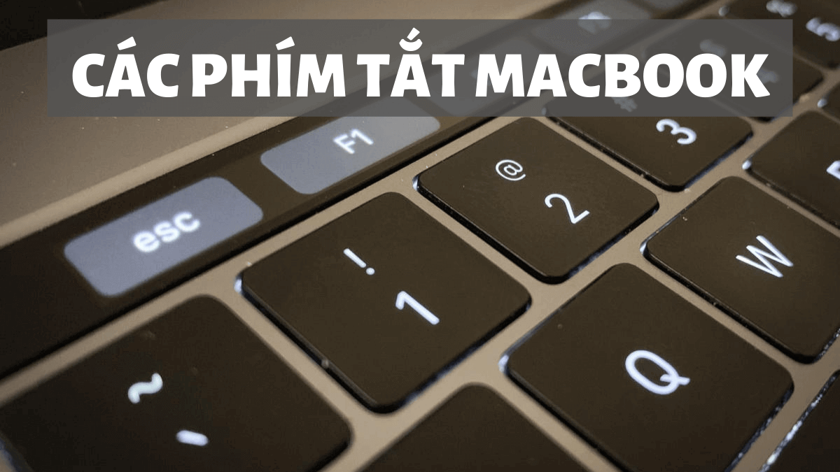 Cách thêm dòng trong Excel MacBook