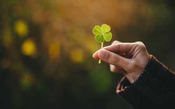 Desear suerte o éxito: El poder de la mentalidad positiva