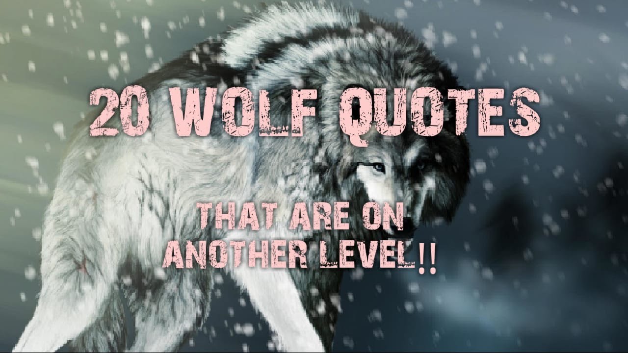 Embrace the Wild Within: Powerful and Inspirational Wolf Quotes for Self-Discovery