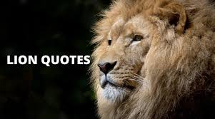 Roaring with Wisdom: Inspiring Lion Quotes to Ignite Your Inner Strength