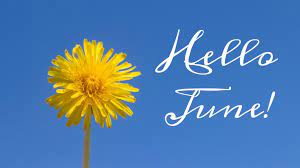 Inspirational Quotes for June: Embrace the Summer Vibes