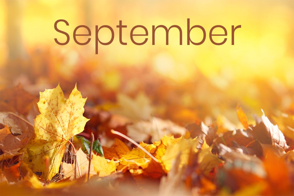 Embrace the Autumnal Vibes: September Inspirational Quotes